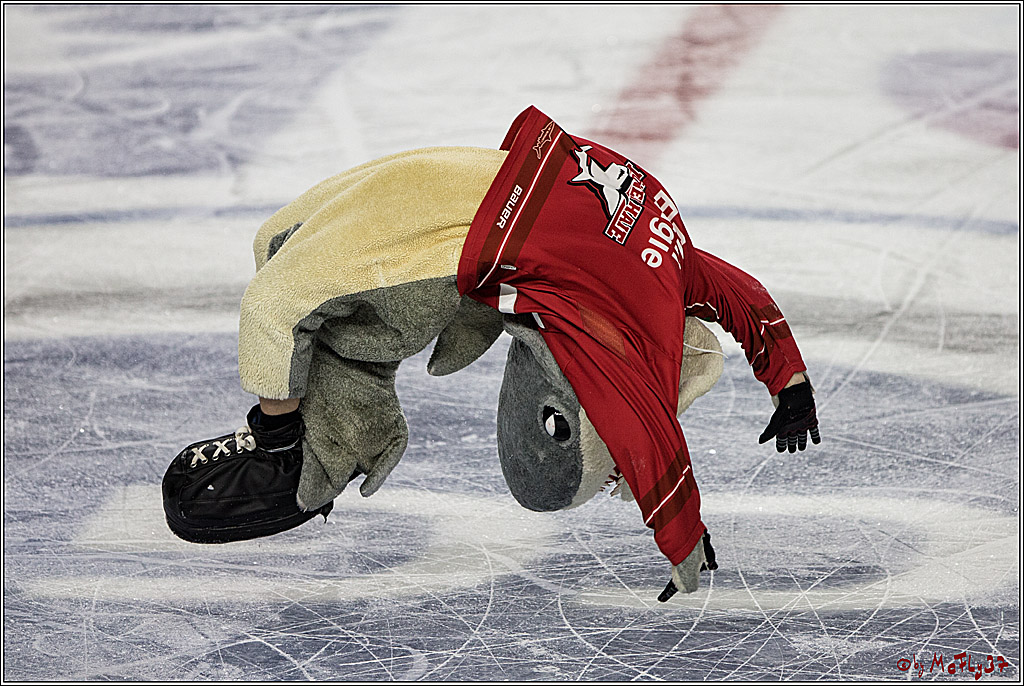 DEL, Koelner Haie - Grizzlys Wolfsburg, 12.03.2017